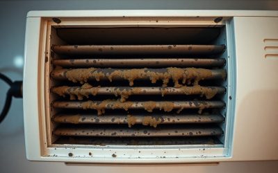 Mold in AC Unit: Is There Mold in Your Air Conditioner?