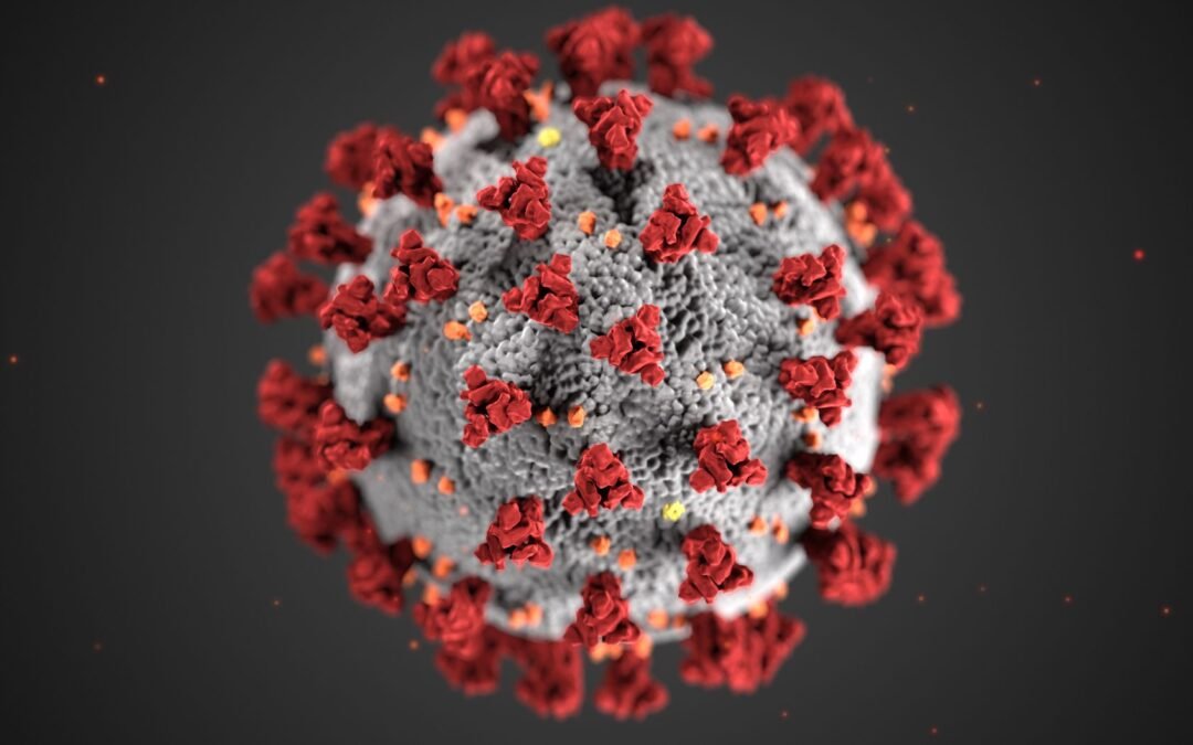 structure of a coronavirus